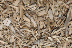 biomass boilers Pantdu