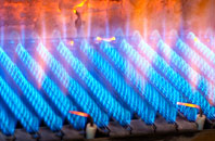 Pantdu gas fired boilers